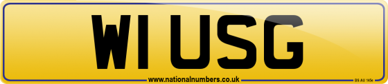 W1 USG