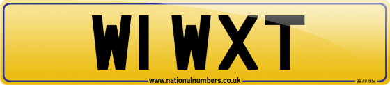 W1 WXT