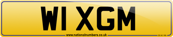 W1 XGM