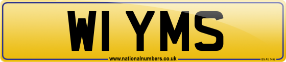 W1 YMS