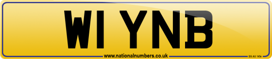 W1 YNB
