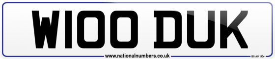 W100 DUK