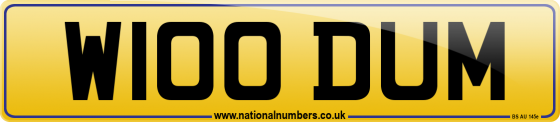 W100 DUM