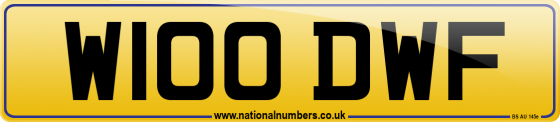 W100 DWF