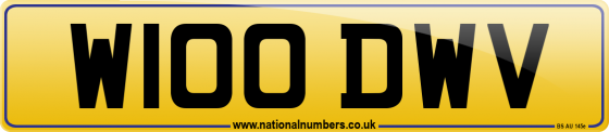W100 DWV