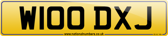 W100 DXJ