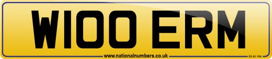 W100 ERM
