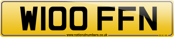 W100 FFN