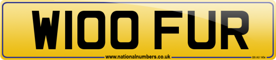 W100 FUR