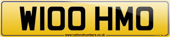 W100 HMO
