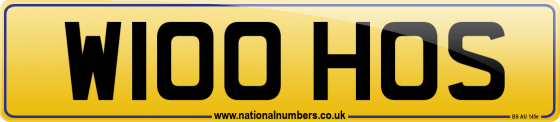 W100 HOS