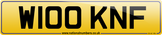 W100 KNF