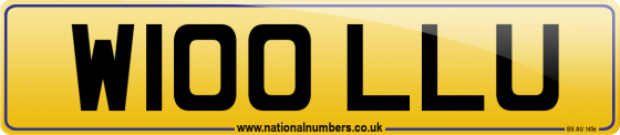 W100 LLU