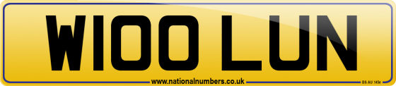 W100 LUN