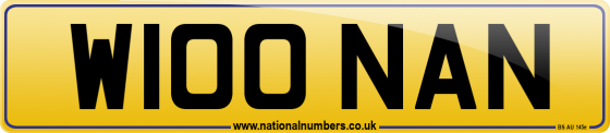 W100 NAN