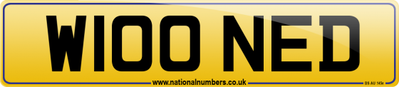 W100 NED