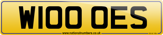 W100 OES