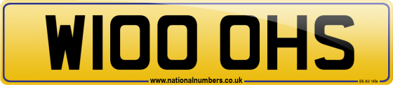 W100 OHS