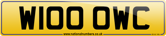 W100 OWC