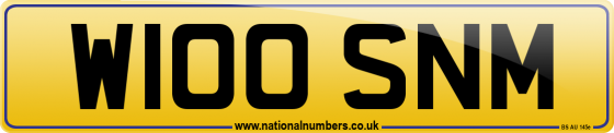 W100 SNM