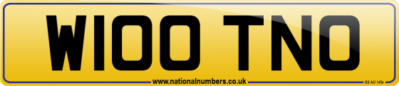 W100 TNO