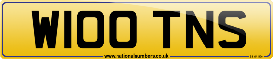 W100 TNS