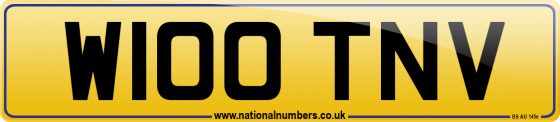 W100 TNV