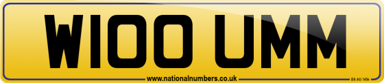 W100 UMM