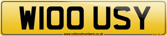 W100 USY