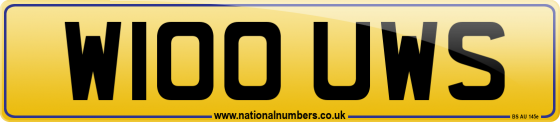 W100 UWS