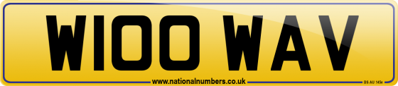 W100 WAV