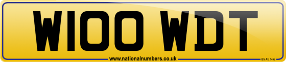 W100 WDT