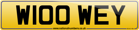 W100 WEY