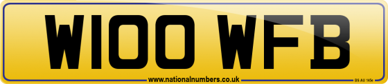 W100 WFB