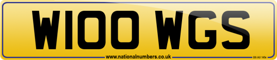 W100 WGS