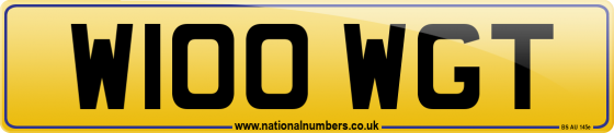 W100 WGT
