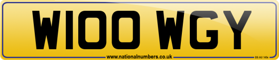W100 WGY