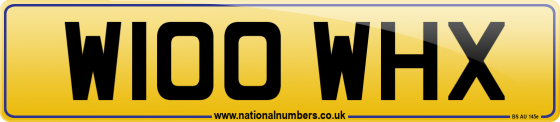 W100 WHX