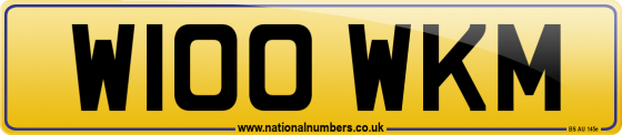 W100 WKM