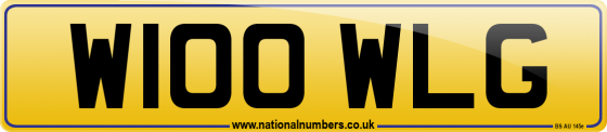 W100 WLG