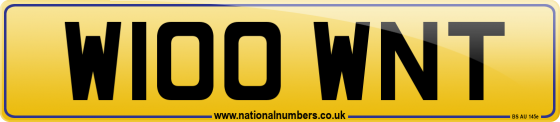 W100 WNT