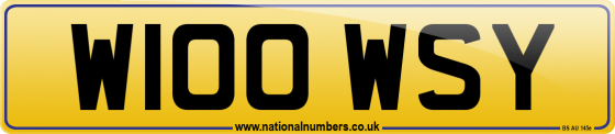 W100 WSY