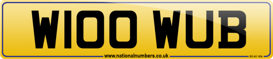 W100 WUB