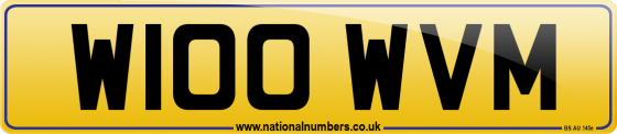 W100 WVM
