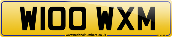 W100 WXM