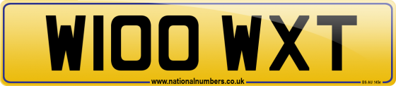 W100 WXT