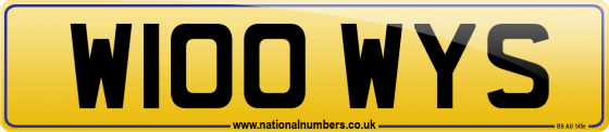 W100 WYS