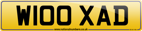 W100 XAD