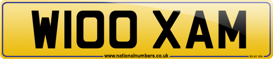 W100 XAM