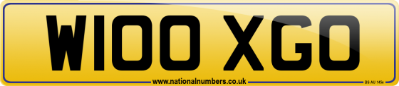 W100 XGO